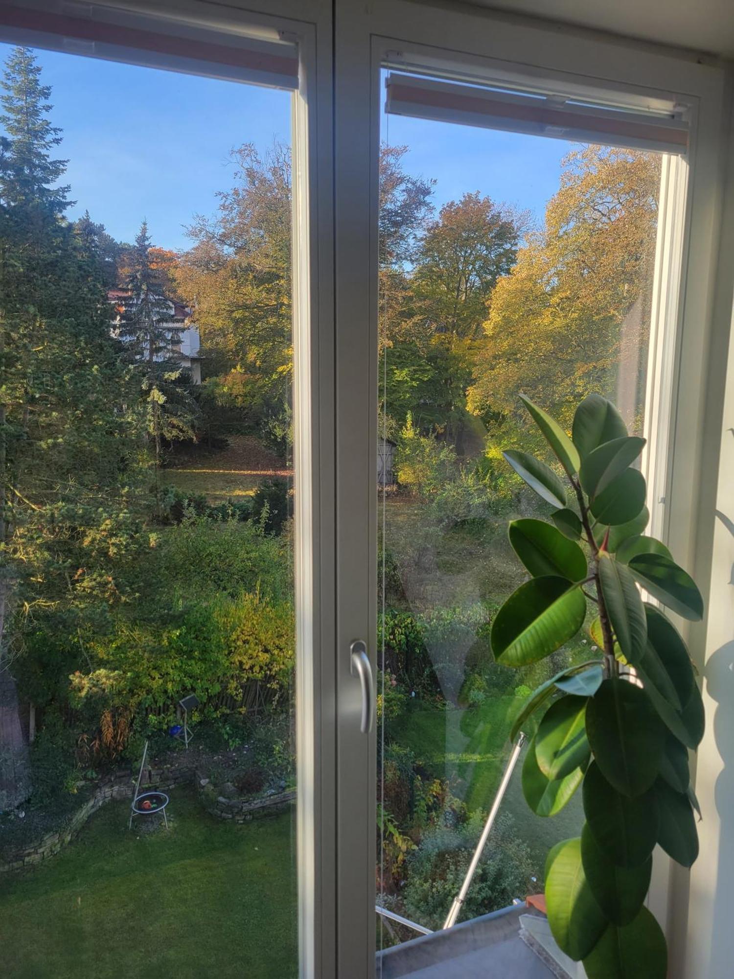 Apartamento Wohnen Am Steiger In Erfurt Sued Exterior foto
